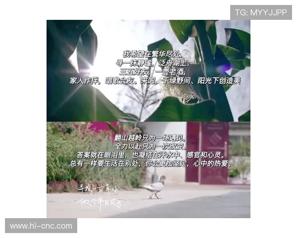 《追梦》:照亮你我心中的不灭星光 《追梦》:照亮你我心中的不灭星光