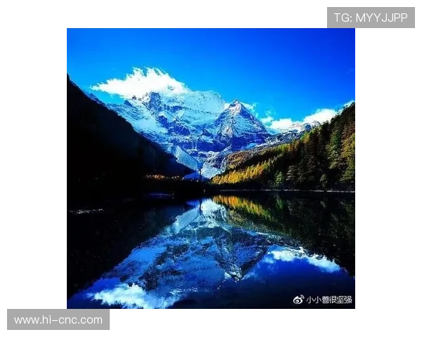 融化冰川的温柔：那些让人心动的男男电视剧，不止于“好看”